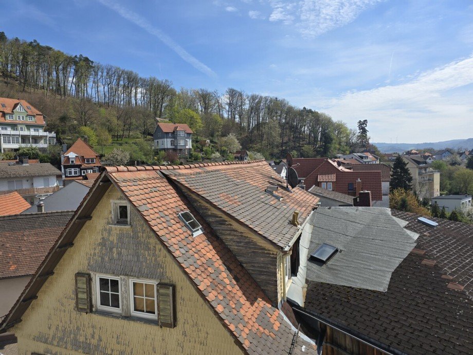 Ausblick Dachgeschosswohnung Lindenfels