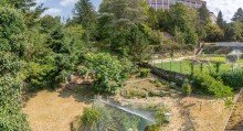 Garten Solide Kapitalanlage - 5 Einheiten, 4 vermietet